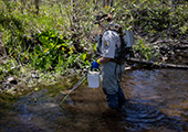 Larval Assessment Technician Electrofishing